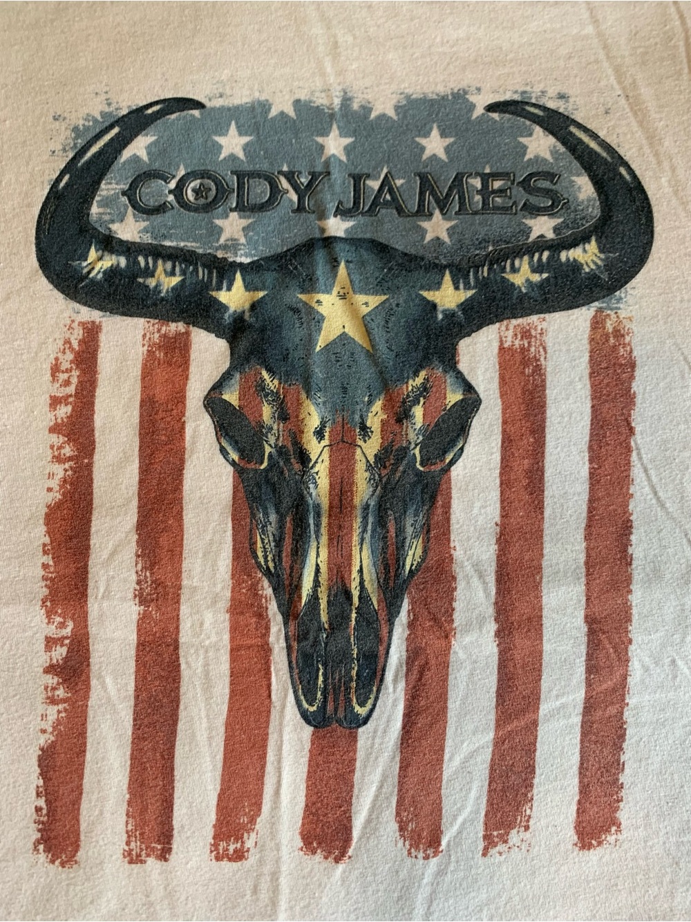Cody James Men's Heritage Steer Skull Short Sleeve Graphic T-Shirt